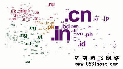 如何打造属于自己的vecms网站建设域名