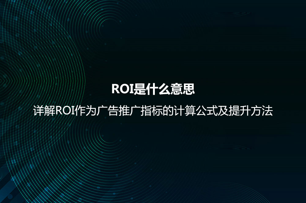 ROI是什么意思