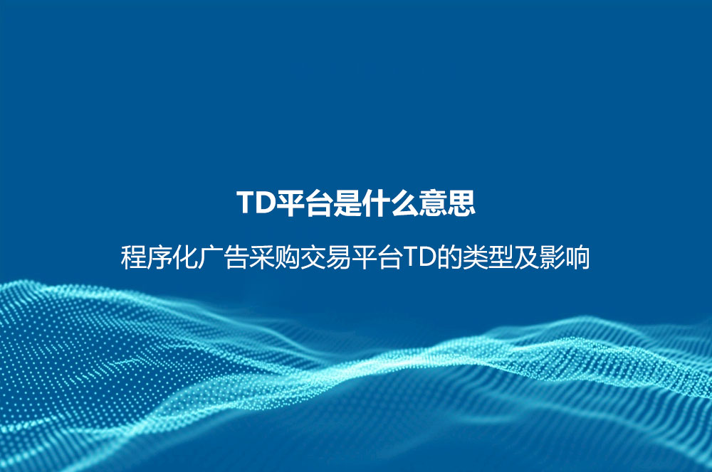 TD平台是什么意思